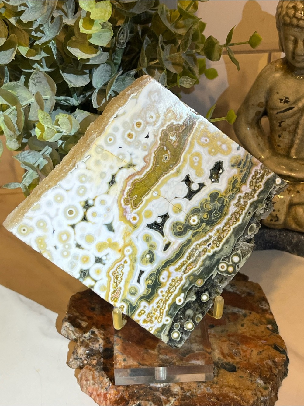 7th Vein Ocean Jasper Slab